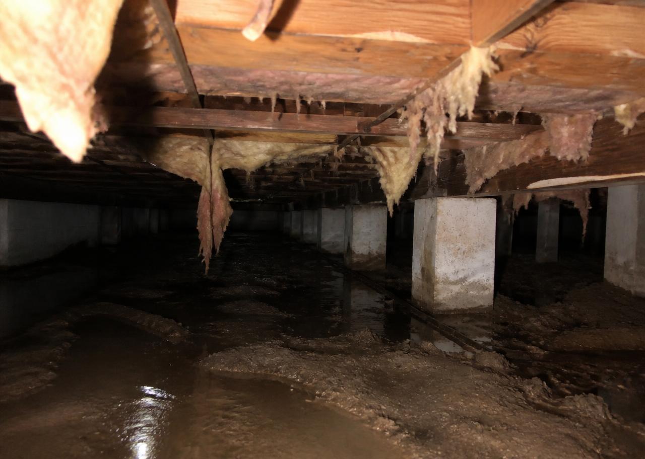 Untreated crawl space with damp exposed soil, standing water and sagging insulation